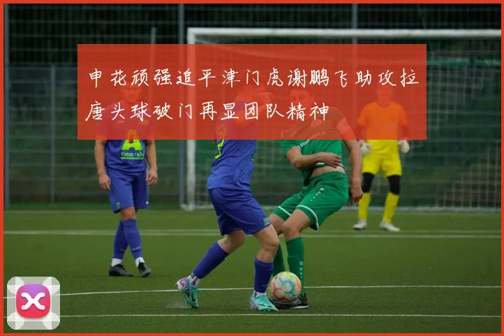 申花顽强追平津门虎谢鹏飞助攻拉唐头球破门再显团队精神